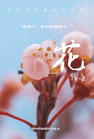 20150807144534_63813