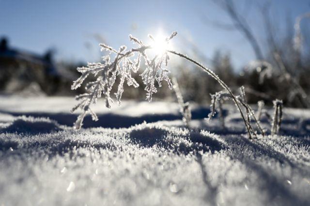 零下58°玩出的創意?好冷! 零下58°玩出的創意?好冷!