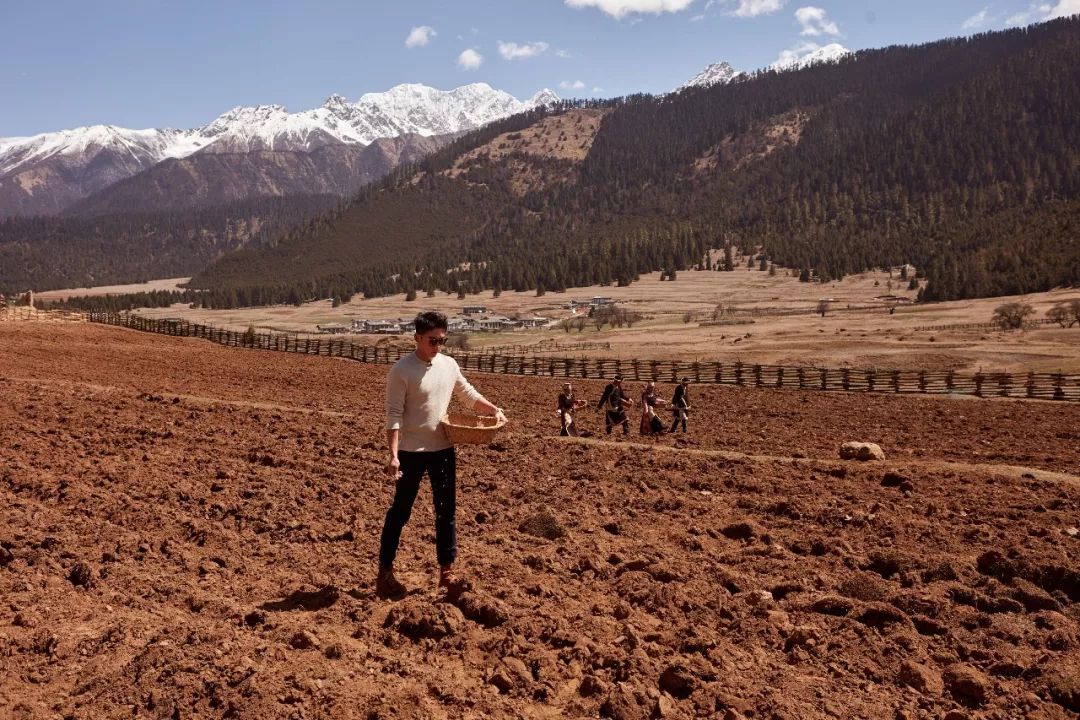 自然堂這波操作有點調皮 自然堂這波操作有點調皮