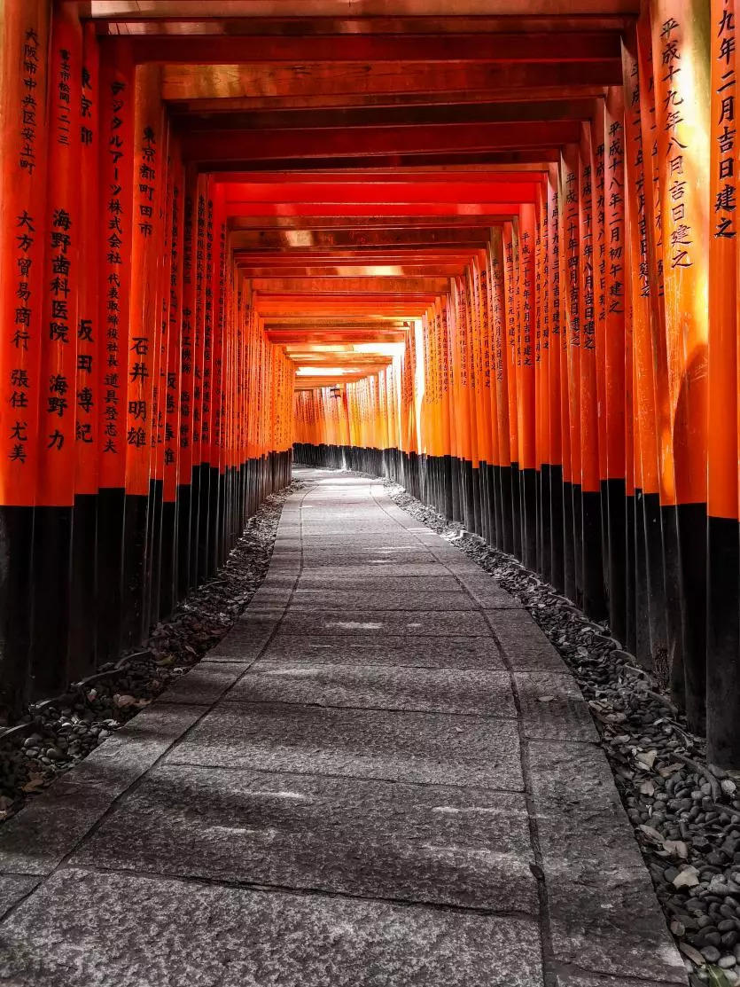 聽說華為開了個不一樣的攝影展…… 聽說華為開了個不一樣的攝影展……