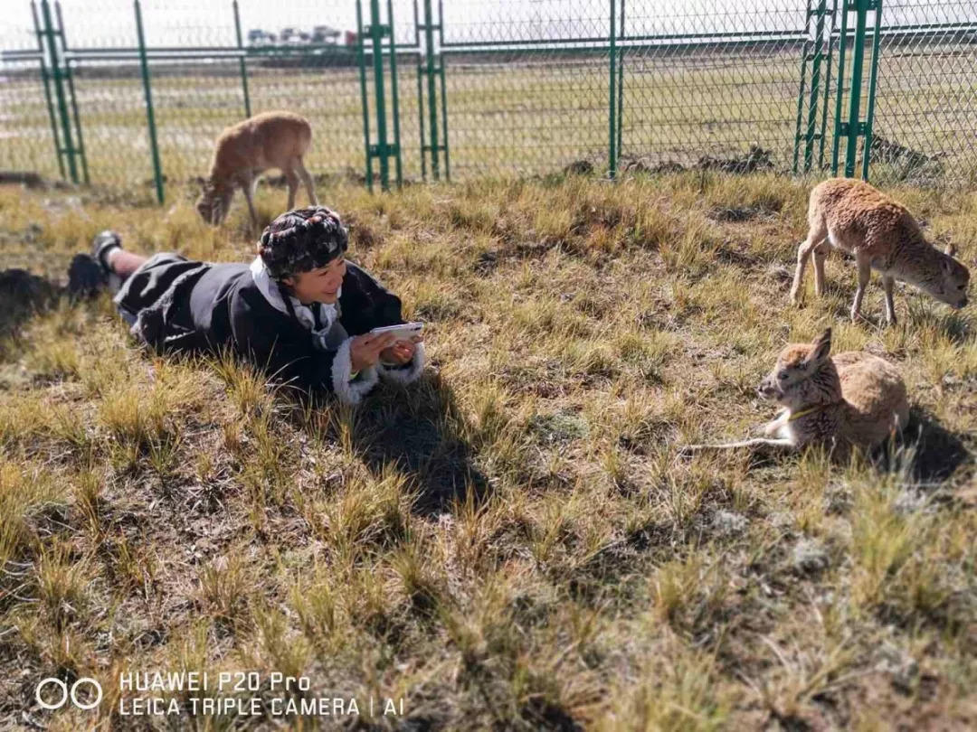 聽說華為開了個不一樣的攝影展…… 聽說華為開了個不一樣的攝影展……