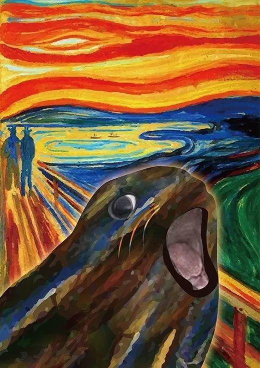 用海報拯救海豹,百度設(shè)計師做了一件暖心的小事 用海報拯救海豹,百度設(shè)計師做了一件暖心的小事