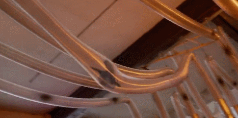 這個魔性廣告,我也就看了100遍! 這個魔性廣告,我也就看了100遍!