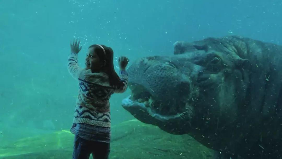 冬天的氣息,從圣誕廣告開始 冬天的氣息,從圣誕廣告開始