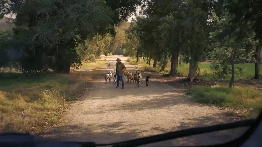 冬天的氣息,從圣誕廣告開始 冬天的氣息,從圣誕廣告開始