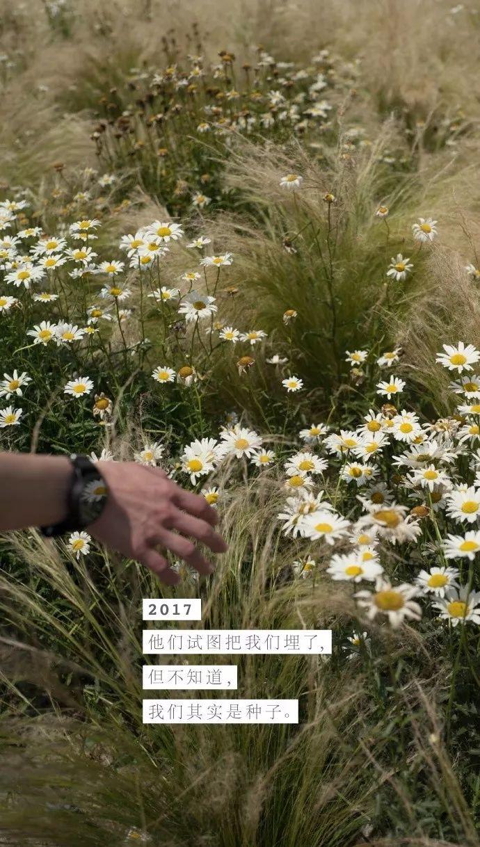 淘寶第一的文案,月入300萬! 淘寶第一的文案,月入300萬!