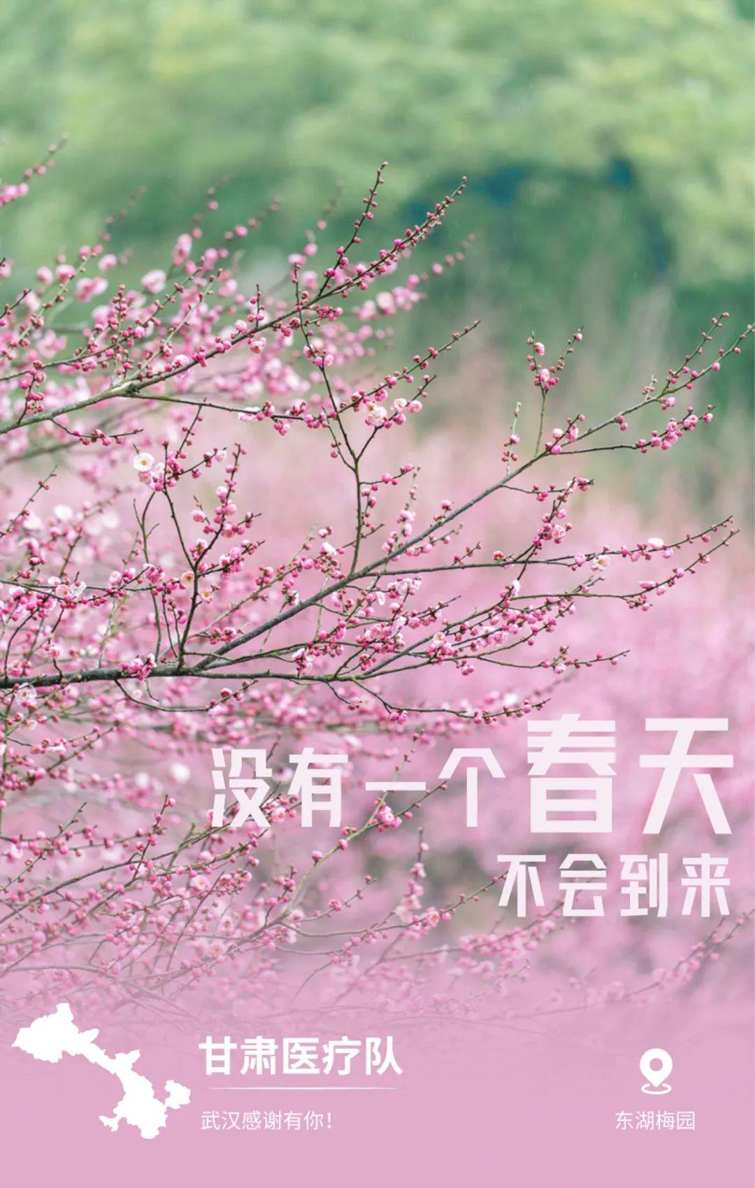 32張感恩海報刷屏!武漢這波操作太可以了 32張感恩海報刷屏!武漢這波操作太可以了