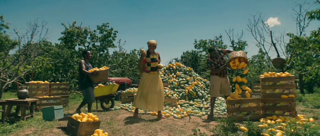 看完這支廣告,我立刻下單了! 看完這支廣告,我立刻下單了!