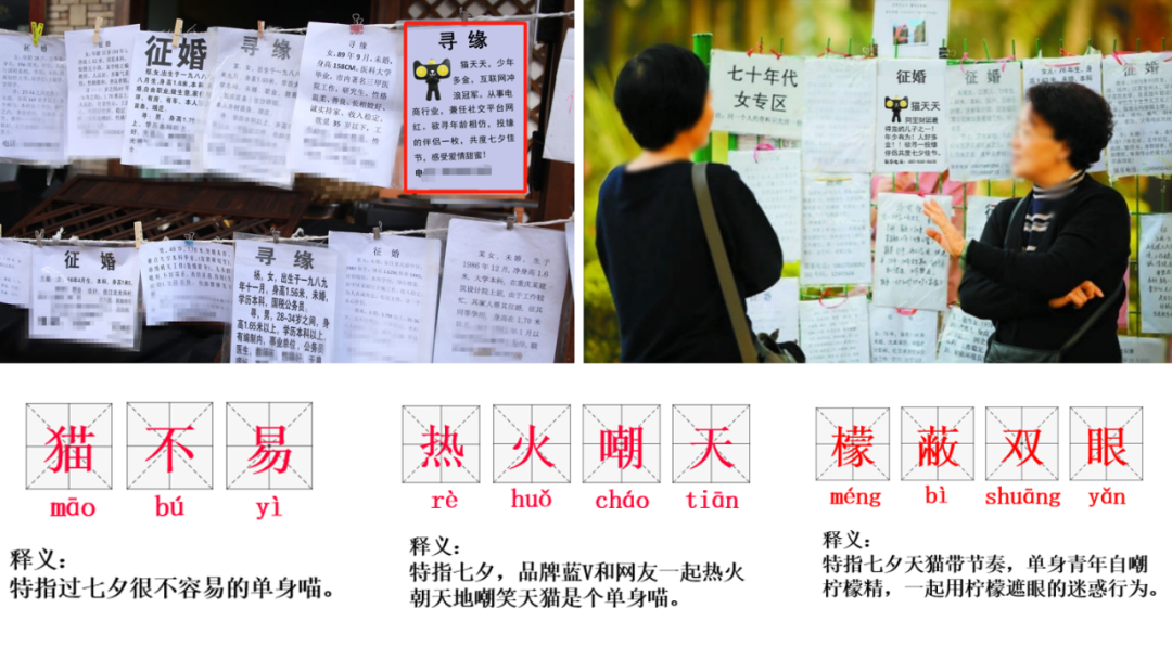 被天貓酸到了! 被天貓酸到了!