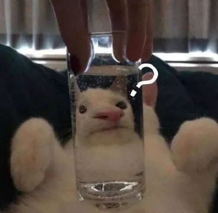 秋天第一杯奶茶刷屏!但這家咖啡直接“收割”了~ 秋天第一杯奶茶刷屏!但這家咖啡直接“收割”了~