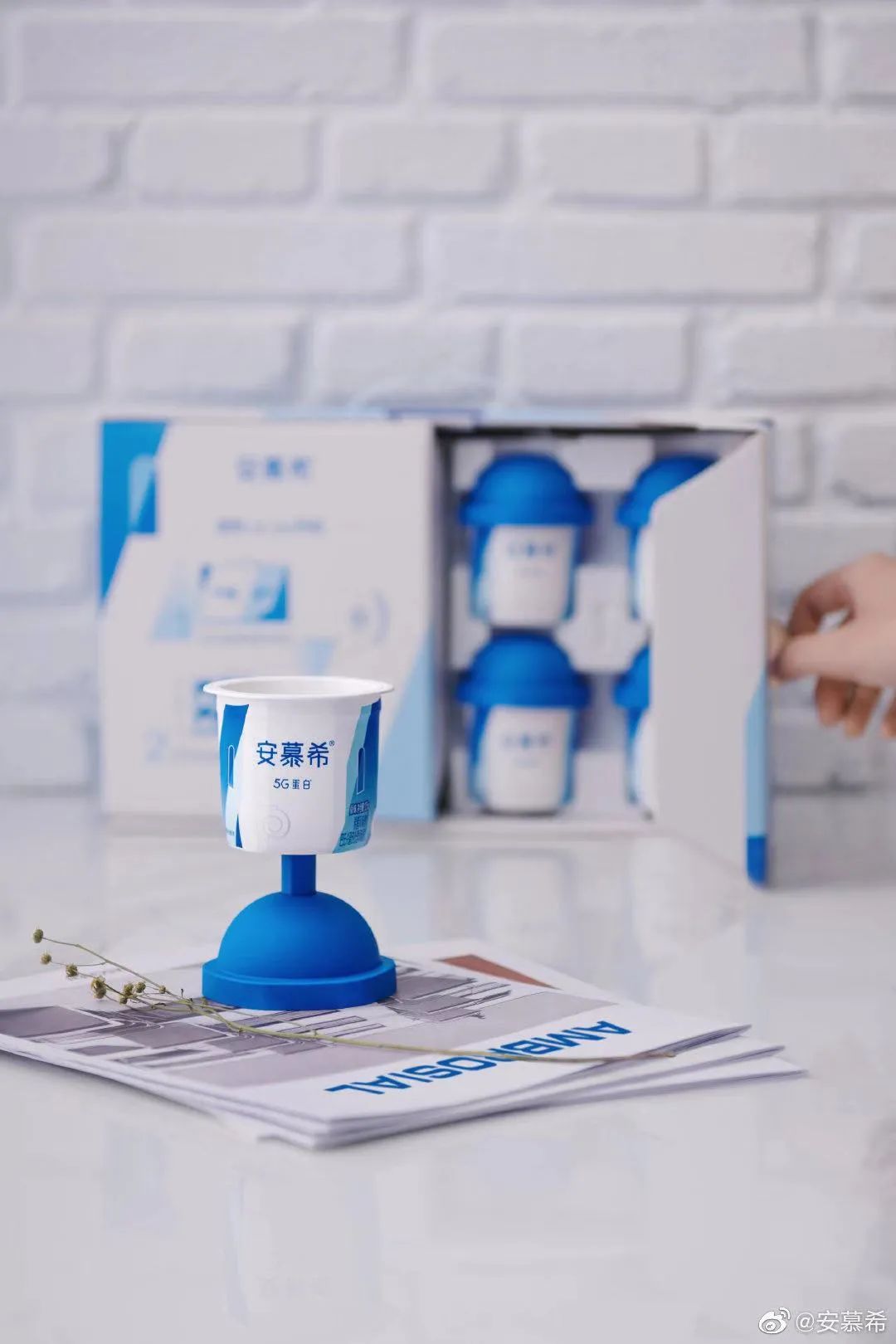 何止一杯酸奶,何止一座城 何止一杯酸奶,何止一座城