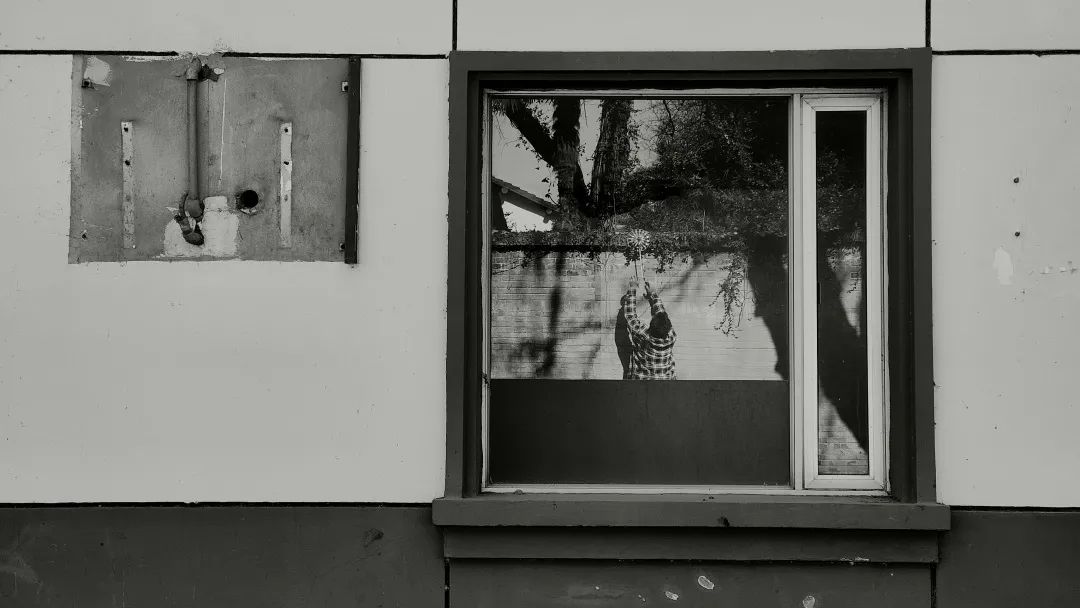 倪妮 x 姜文 ,都是什么神仙組合? 倪妮 x 姜文 ,都是什么神仙組合?