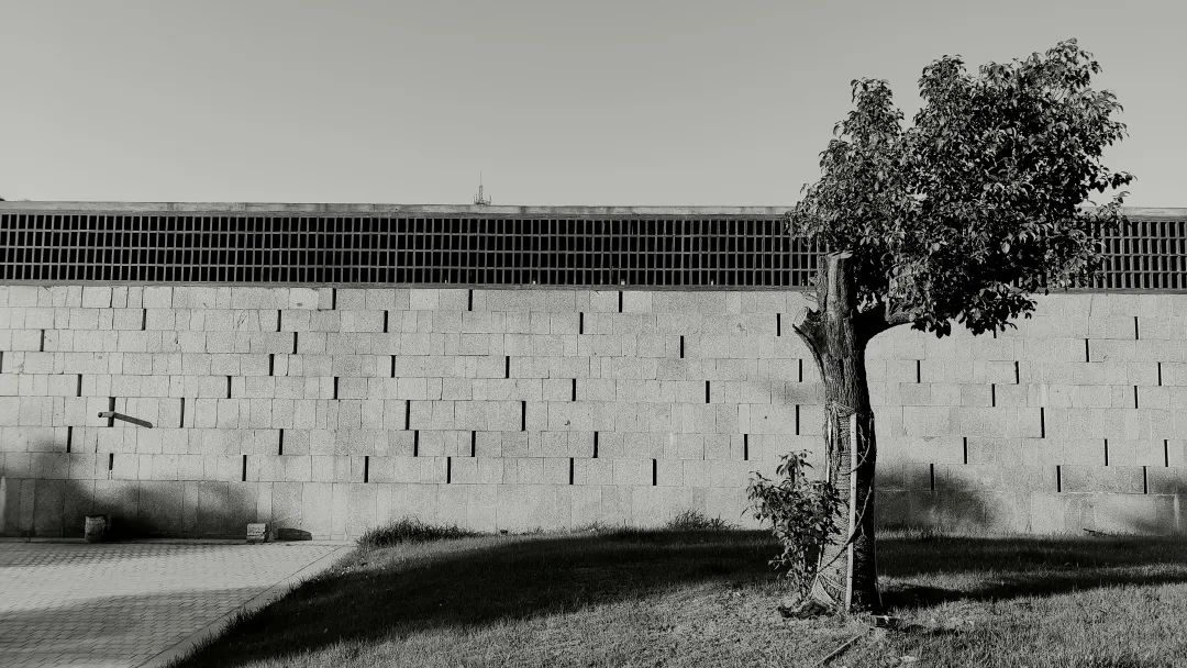 倪妮 x 姜文 ,都是什么神仙組合? 倪妮 x 姜文 ,都是什么神仙組合?