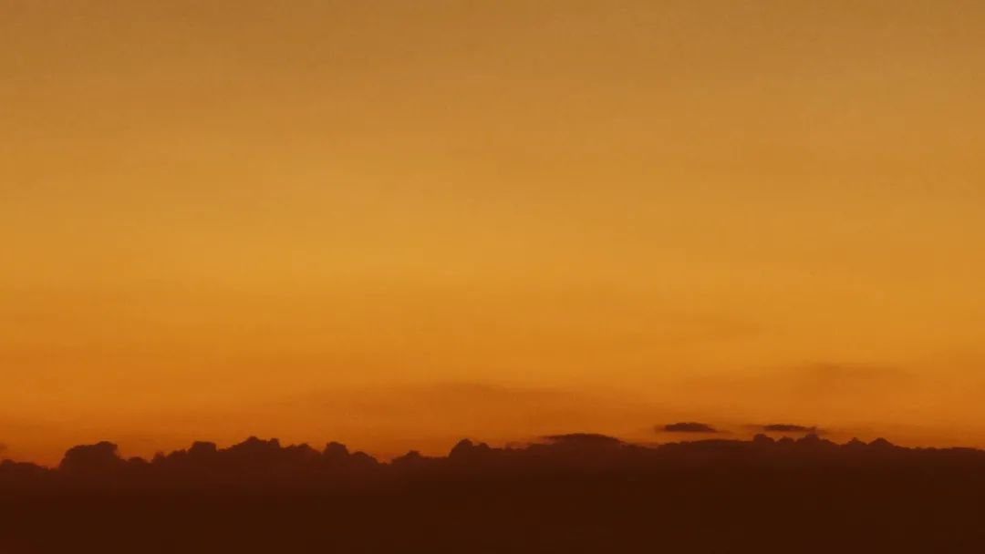 倪妮 x 姜文 ,都是什么神仙組合? 倪妮 x 姜文 ,都是什么神仙組合?