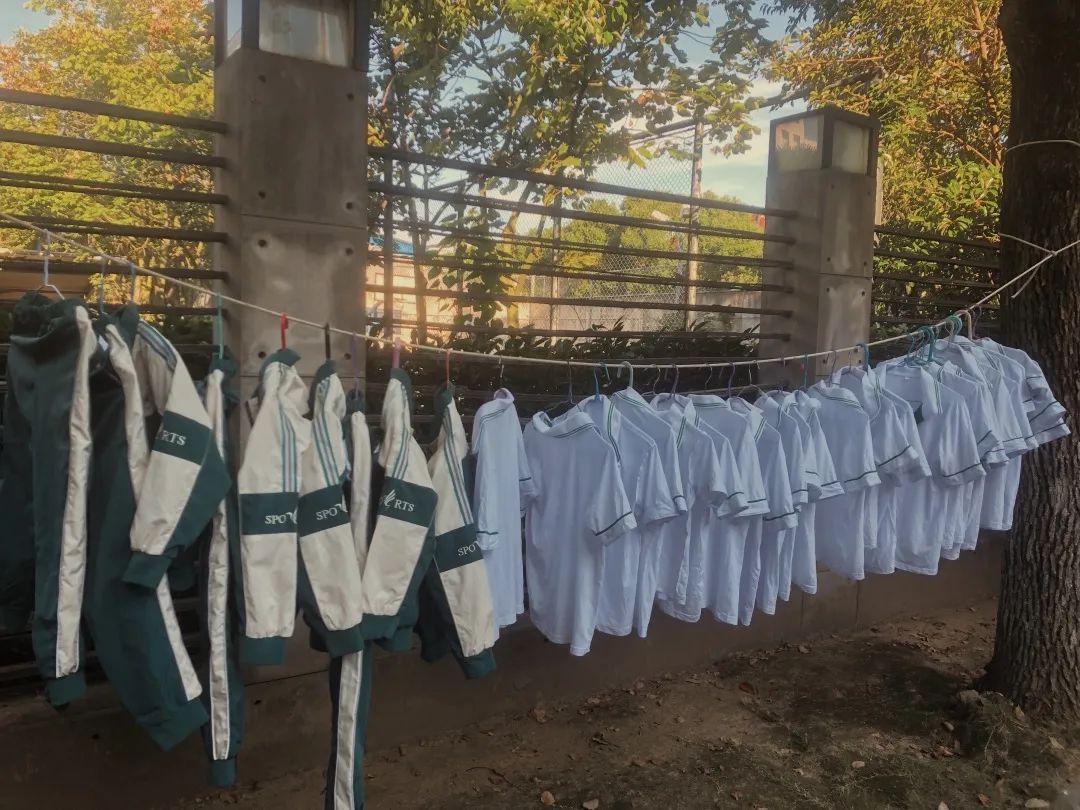 今年天貓雙11，居然還有點(diǎn)小浪漫