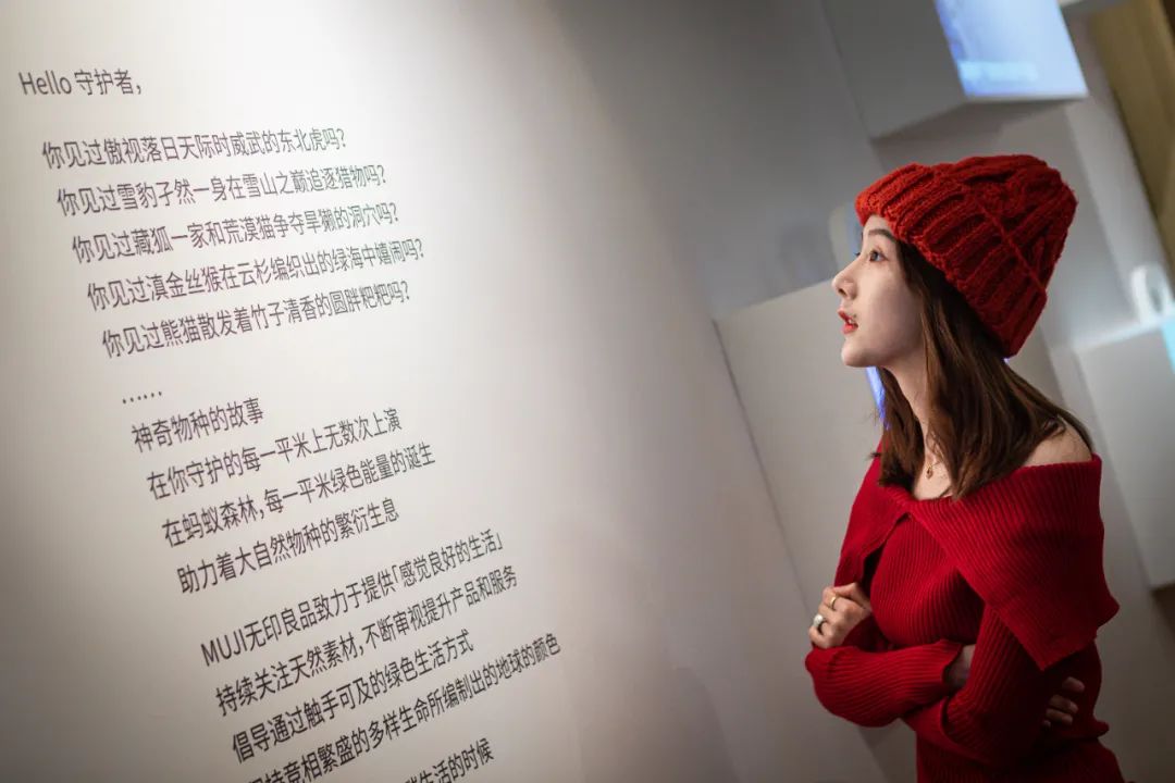 螞蟻森林和MUJI，把森林裝進了旅行箱