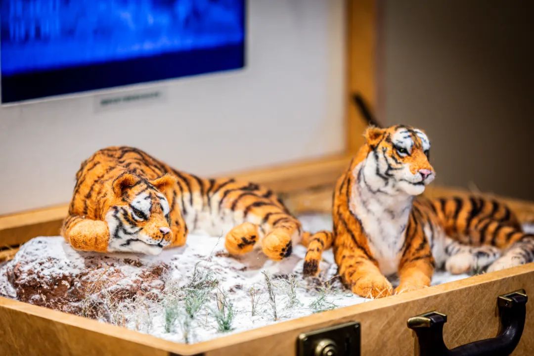 螞蟻森林和MUJI，把森林裝進了旅行箱