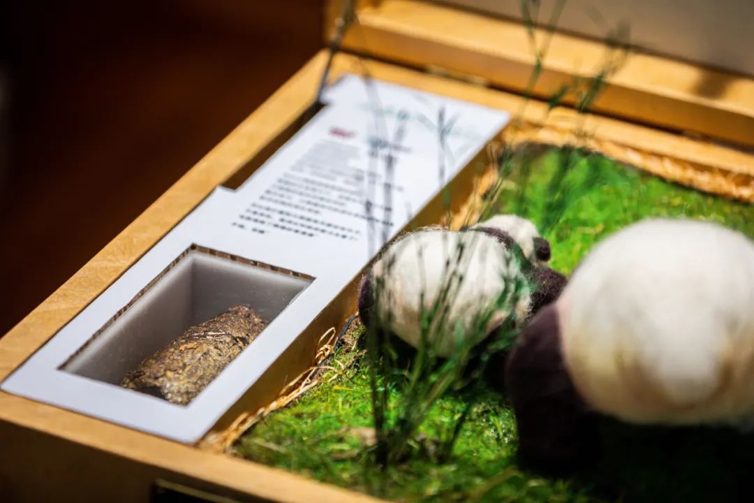 螞蟻森林和MUJI，把森林裝進了旅行箱