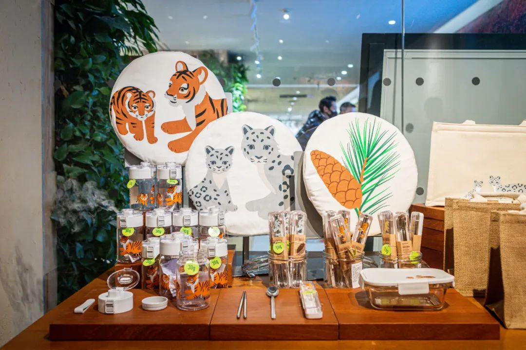 螞蟻森林和MUJI，把森林裝進了旅行箱