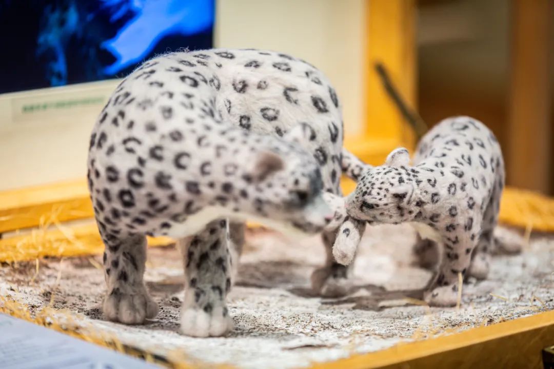 螞蟻森林和MUJI，把森林裝進了旅行箱