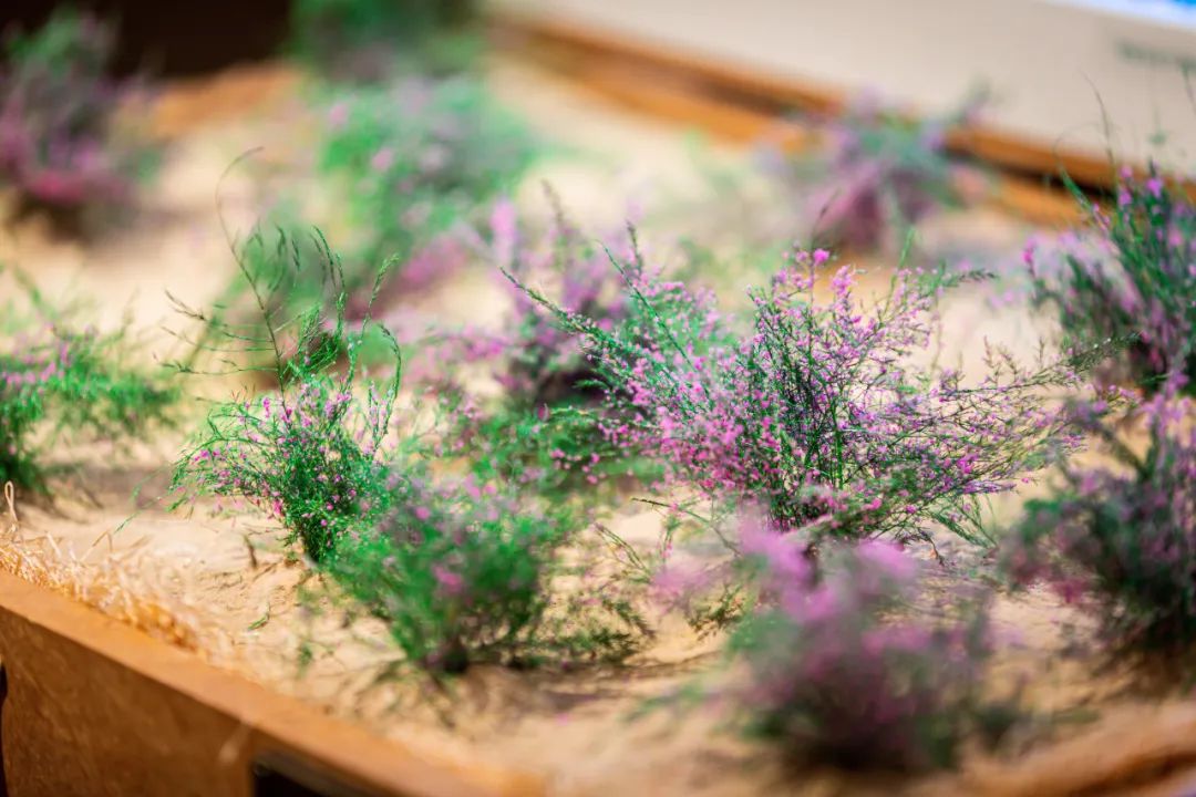 螞蟻森林和MUJI，把森林裝進了旅行箱