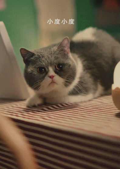 連產品都不放的海報,是失誤還是巧思? 連產品都不放的海報,是失誤還是巧思?