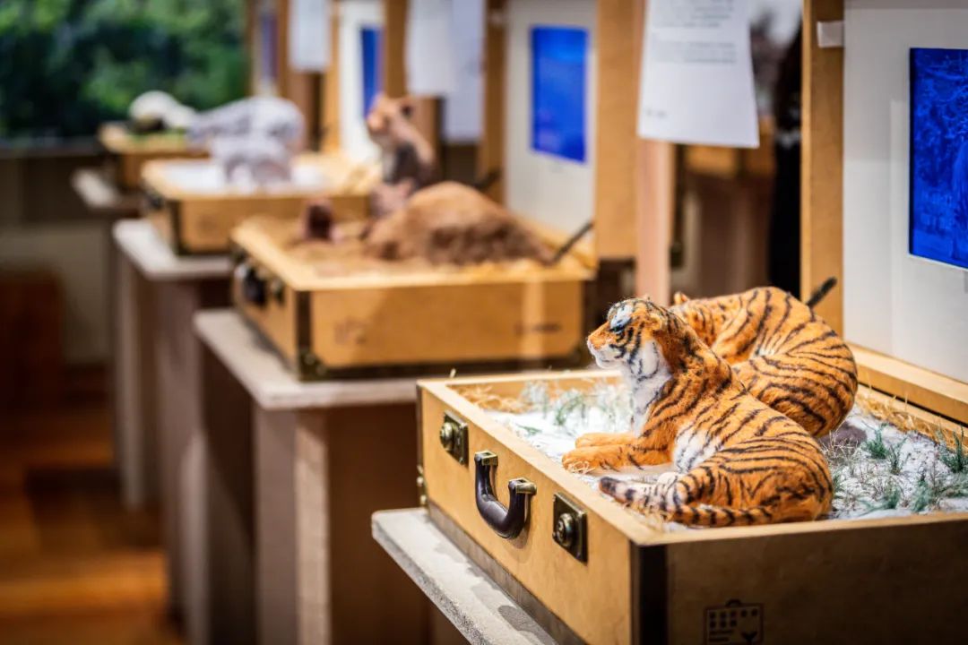 螞蟻森林和MUJI，把森林裝進了旅行箱